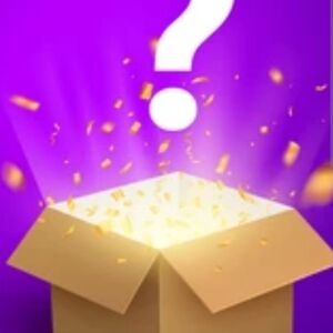 Mystery Box with Surprise Contents